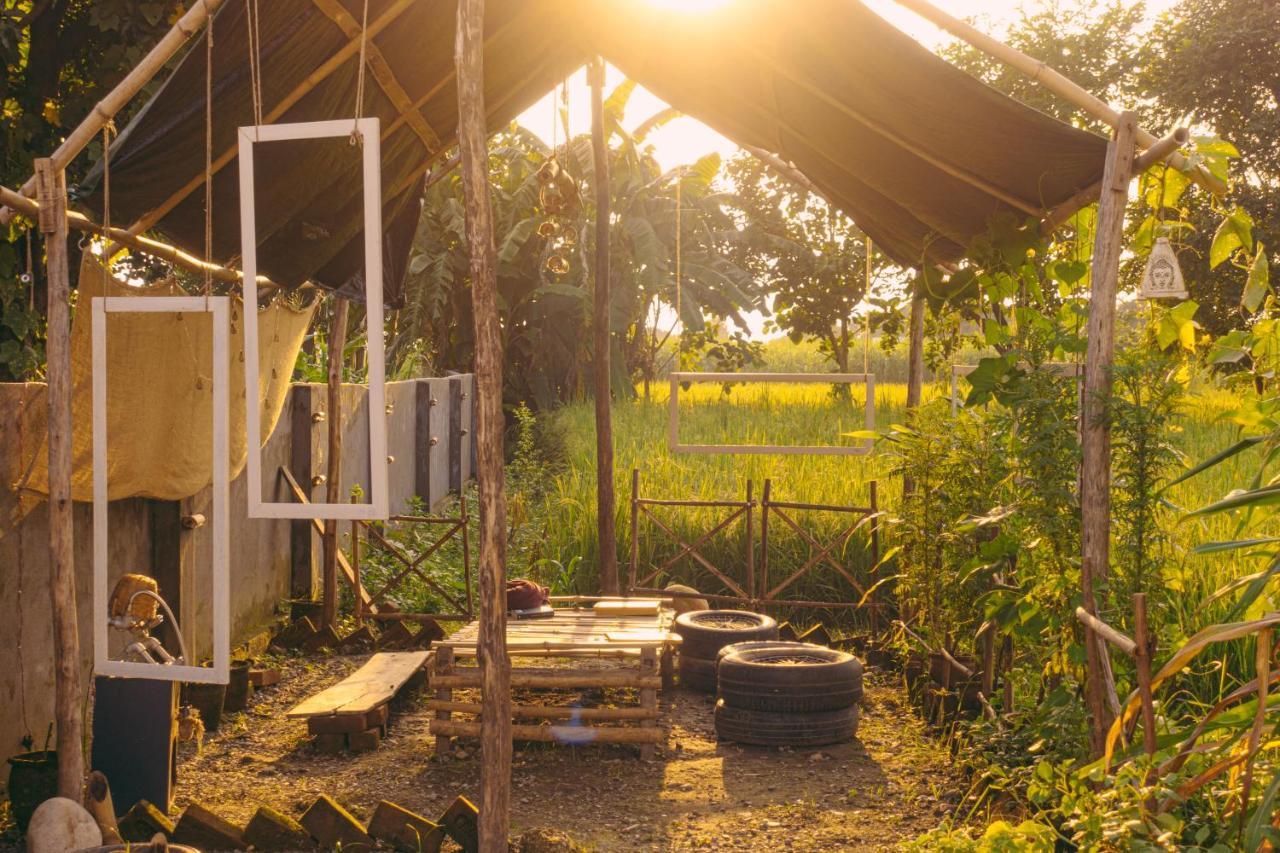 Sun N Soil Backpacker Hostel Lachhiwala Exterior foto